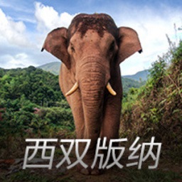 迪洛伦佐：战胜米兰是我们给出的重要回应 我们本该打进第3球